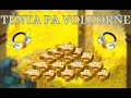 EXO CHILL - 61 TENTA VOLKORNE PA