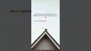 दिल 🥺🥺2linespoetry #whatsappstatus #seo #shorts #iove #video #shorte #iove #love #sad #motivation