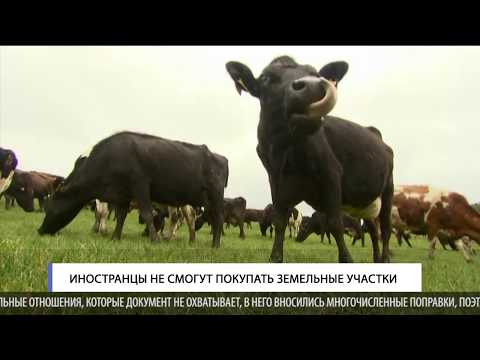 Иностранцы не смогут приобретать земли в Молдове