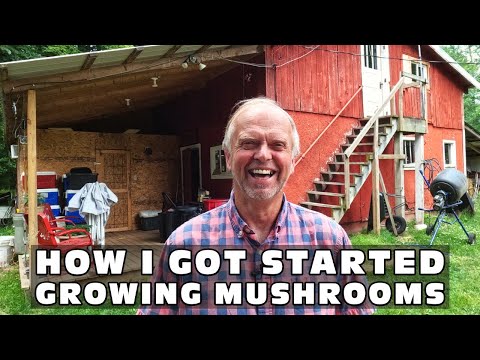 How I Got Started Growing Mushrooms - Dan Johnson, Back Forty Mushrooms and Forage, Wisconsin