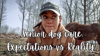 Reality Check: Caring for Senior Dogs - Managing Expectations