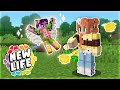 GRANTING GEMINITAY THE ULTIMATE WISH!! New Life SMP Ep 1