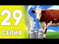 💛ПУТЬ ДО ЛАМБЫ НА БЛЕК РАША #29 - ДОЯР BLACK RUSSIA RP! CRMP MOBILE!