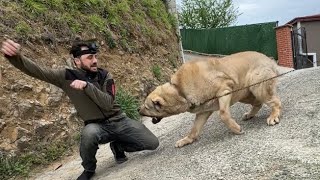 Alcaponu Sevmeye Gelen Arkadaşa Ne Oldu 