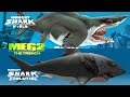ENEMY MEGALODON VS ENEMY MEGALODON - Hungry Shark World VS Hungry Shark Evolution