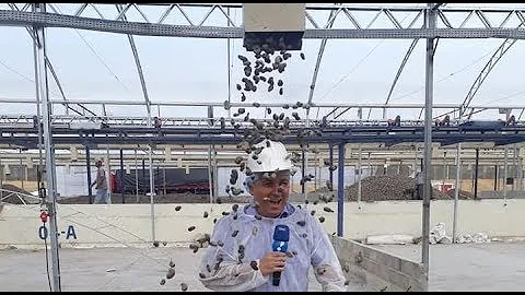 Como se faz a extração da castanha de caju?