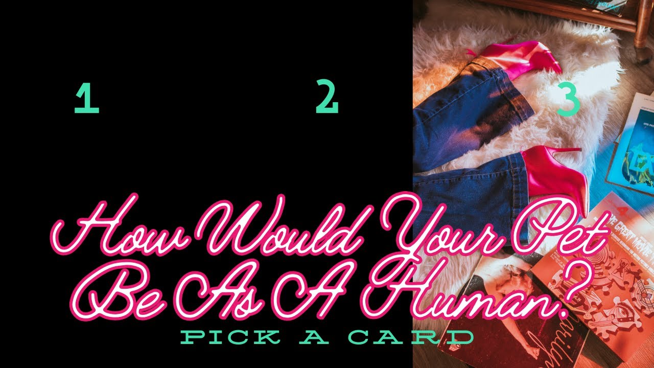 How Would Your Pet Be As A Human? Pick A Card