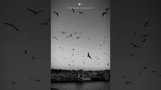 Olur Seni Yazam Resimi