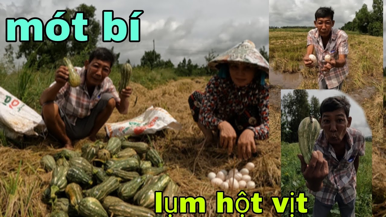 Một Ngày Ra Đồng Mót Bí Và Lụm Hột Vịt Siêu Nhiều Cùng Tư Cà Khịa Và Ú NU