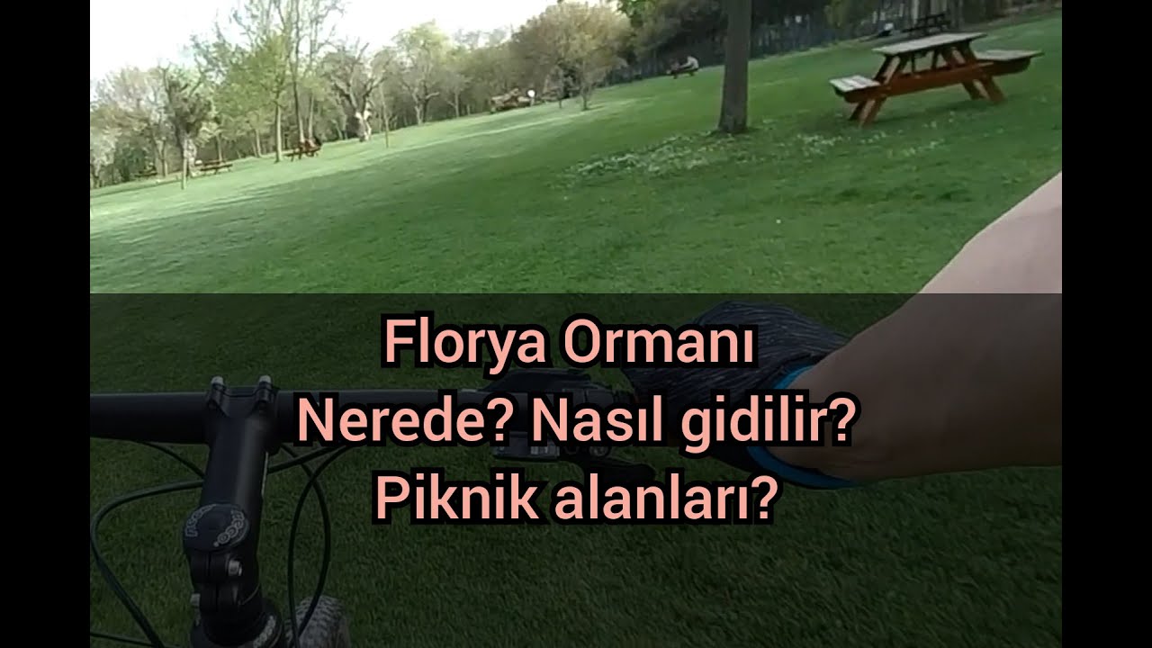 Florya Ormanı piknik alanları. #florya #orman #piknik #bisiklet