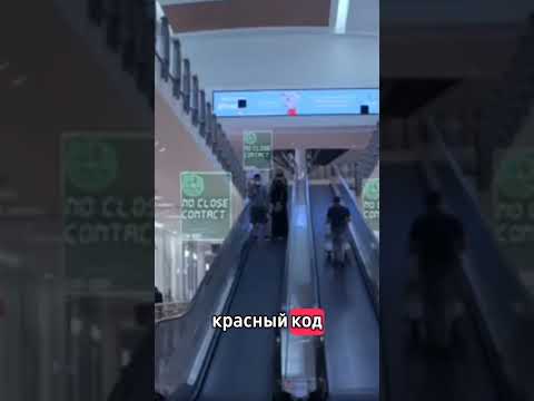 Цифровая изоляция в Бахрейне #цифровизация #бахрейн #слежка #интернет #рейтинг #изоляция #ковид