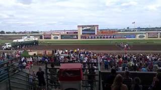 Weiner dog race Canterbury Park July 4th 2016