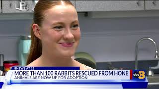 The Richmond SPCA has over 100 rabbits ready for adoption after being rescued from home