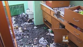 Alerted By Family Dog, Son Saves Mother From Burning Home