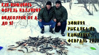 Зимняя рыбалка на Камчатке.  Как выманить форель из лунки?  Видео урок от А до Я.