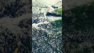 Download Lagu wayanad Ghats|waterfalls|beauty|rain|hidden|🌿 MP3 Download Lagu wayanad Ghats|waterfalls|beauty|rain|hidden|🌿 MP3