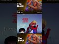TOLOU X The Block concert experience #tolou #roblox #fyp #gamers