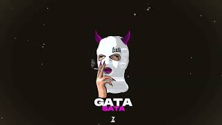 GATA SATA - ZETARRMX - RKT