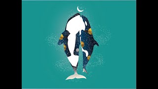 Adobe Illutrator: Whale Illustration