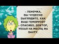 - Леночка, вы чудесно выглядите. Смешной анекдот дня!