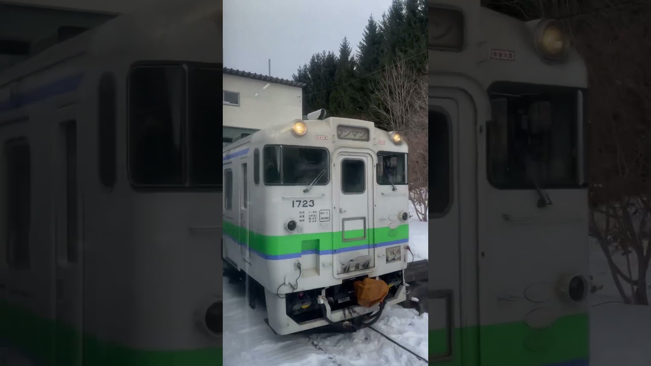 【北海道色&宗谷色】呼人駅にてヨンマルとゴーヨンが交換　