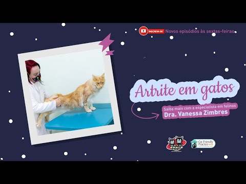 Vídeo: Vivendo Com Gato Sênior Com Artrite - Veterinário Diário