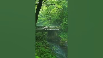 سورة النصر للشيخ ياسر الدوسري #القرآن_الكريم #ياسرالدوسري #أئمة_الحرم
