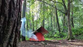 Nature Sounds Create a Magical Camping Atmosphere, birdsong soothes the soul (Listen to Peace)