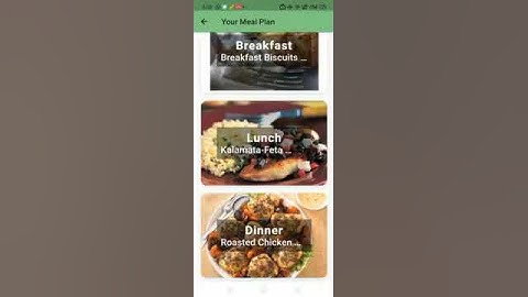 Meal Planner Flutter App demo