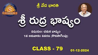 శ్రీ రుద్ర భాష్యం | Class - 79 |  @shrivedabharathi3570