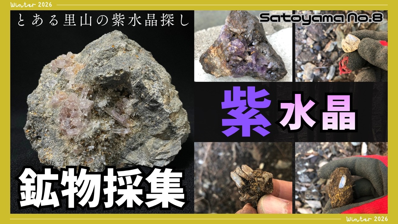 鉱物採集】季節をひとめぐりの再挑戦！1年2か月ぶりに里山で紫水晶探し
