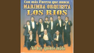 Video thumbnail of "Marimba Orquestra Los Rios - Cohuina"