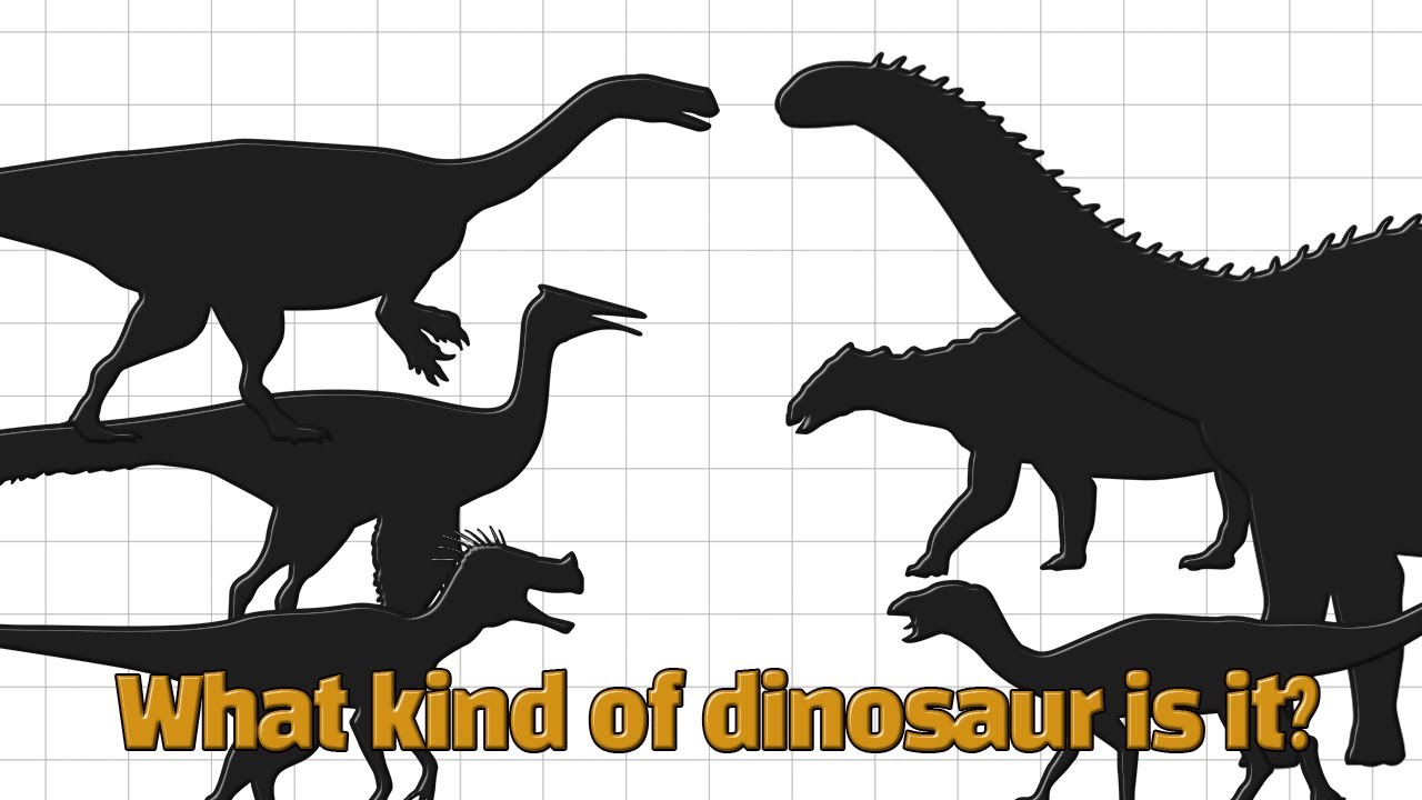 공룡 퍼즐 게임 놀이 | Dinosaur Puzzle Game | Find Out About Dinosaurs | 공룡이름 |  Dinosaur Name - Youtube