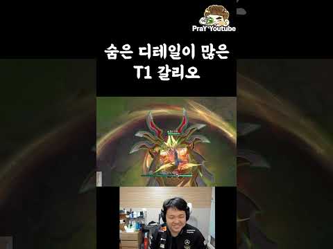 숨은 디테일이 많은 T1 갈리오
