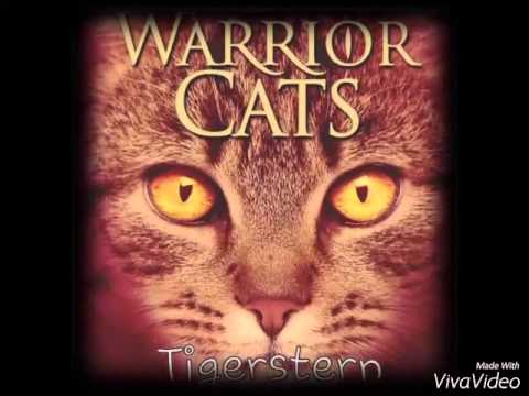 Warrior Cats Cover Katzen Staffel 1 3