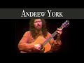 Andrew york  sunburst