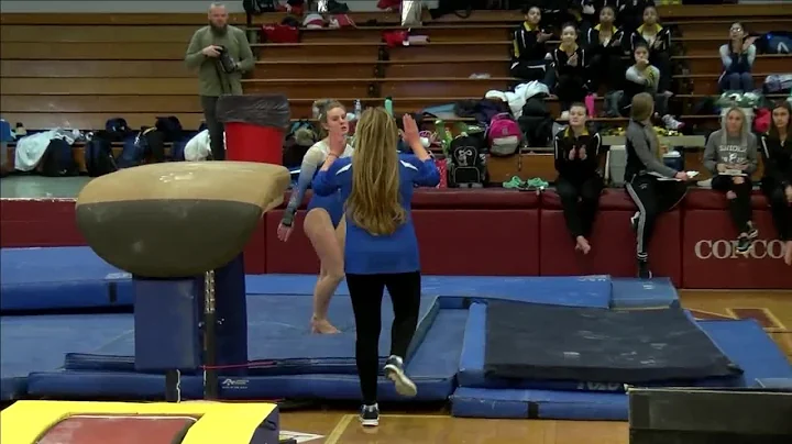 Girls Gymnastics: Homestead wins sectionals title