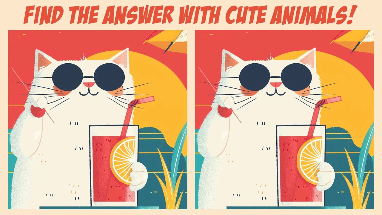 [Spot The Difference] Let's find the answer with cute animals! - YouTube