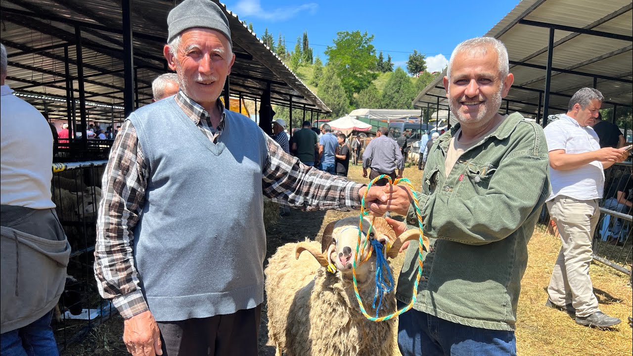 Kurban pazarı Taşköprü