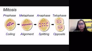 Cell Cycle and Mitosis Reviewer for LET GenEd, Bio Major and Entrance Exams screenshot 3