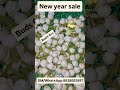 Blooming buds WhatsApp 8838002897 #bloomingbuds #artificial_buds #trending #explorepage #order