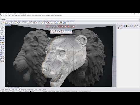 Lion Head Modeling Tutorial - Clayoo, SubD for Rhino