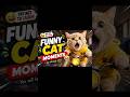 #FunnyCats #CatVideos #FunnyCat #CatsOfYouTube #CatLovers #CuteCats #CatComedy #CatMemes #Kitten