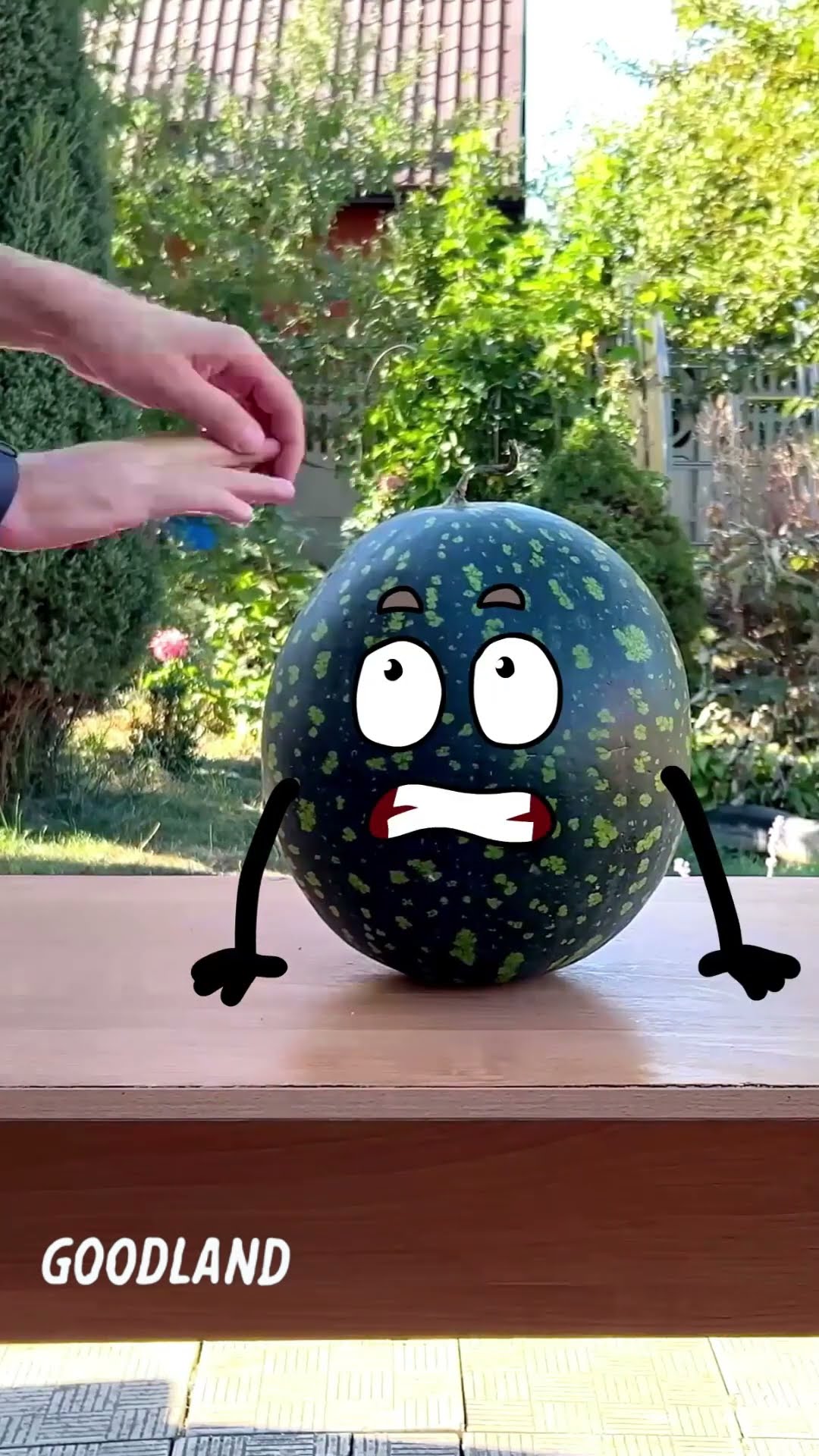 What's the Real Reason Behind This Viral Watermelon Hammer Challenge?