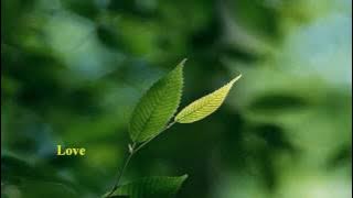 Randy Goodrum - Love [w/ lyrics]