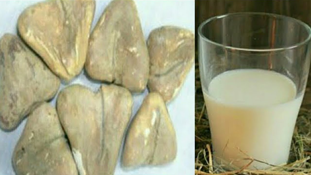 Blood Making Fruits In Telugu Water Chestnut Benefits health Blood Making Fruits In Telugu Water Chestnut Benefits health