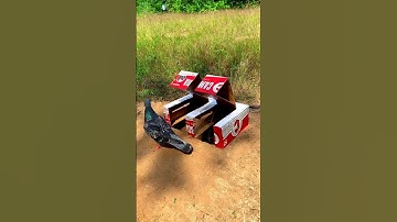 Amazing bird trap - Underground pigeon trap using Coca-Cola box with hole  #amazingtrap#shorts