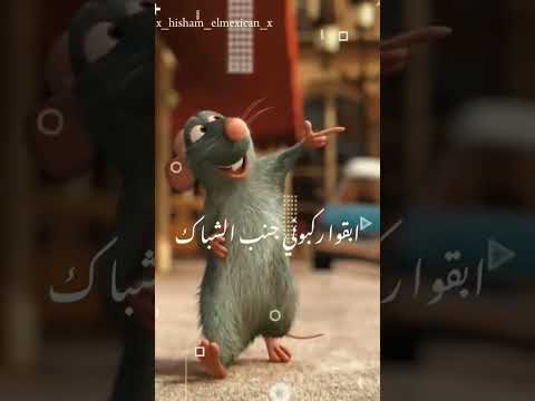 ابقو ركبوني جنب الشباك