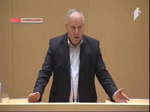 პაატა კვიჟინაძის გამოსვლა პლენარულ სხდომაზე