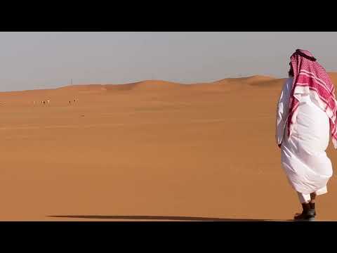 الجو حلو